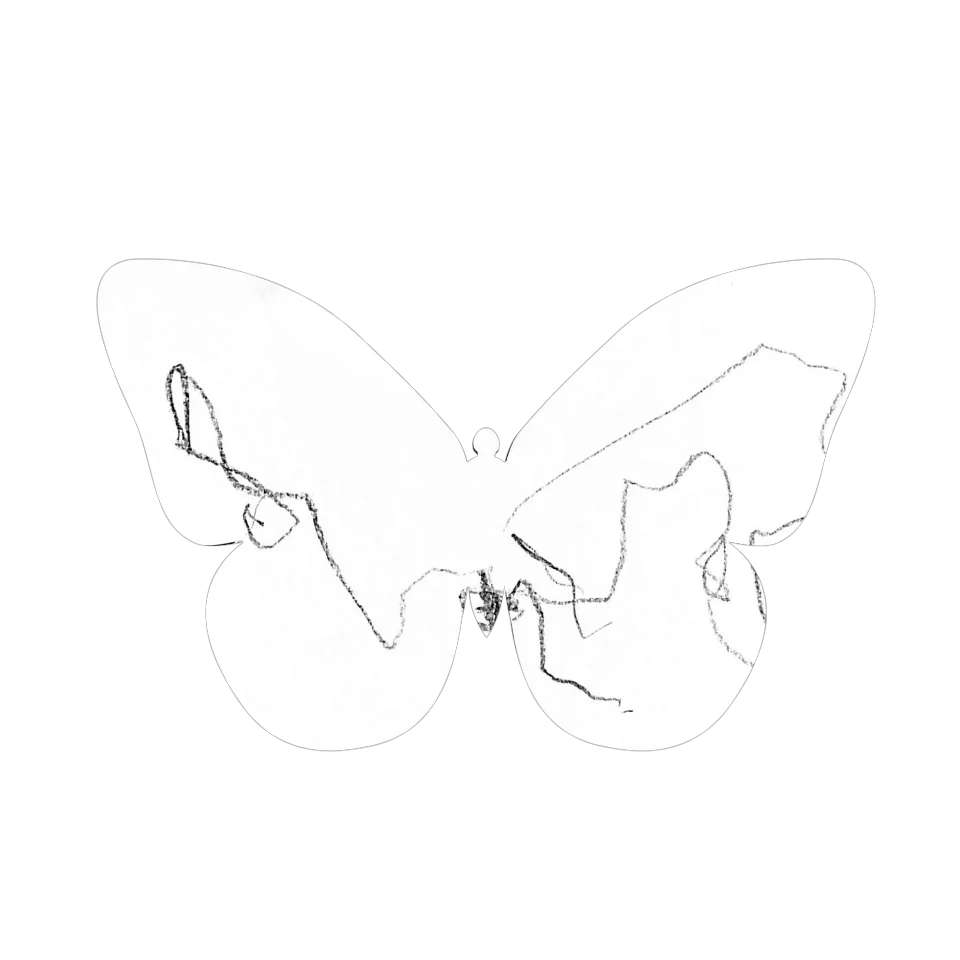 Original Butterfly Image