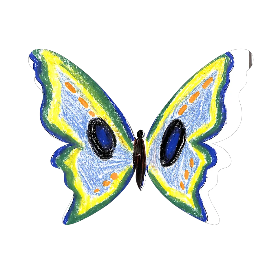 Original Butterfly Image