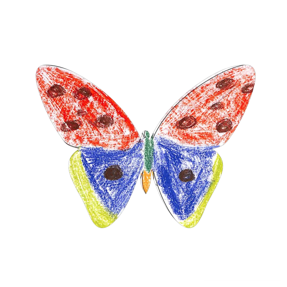 Original Butterfly Image