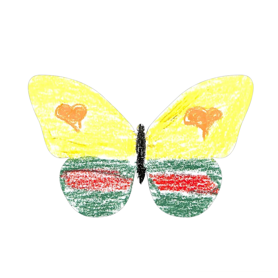 Original Butterfly Image