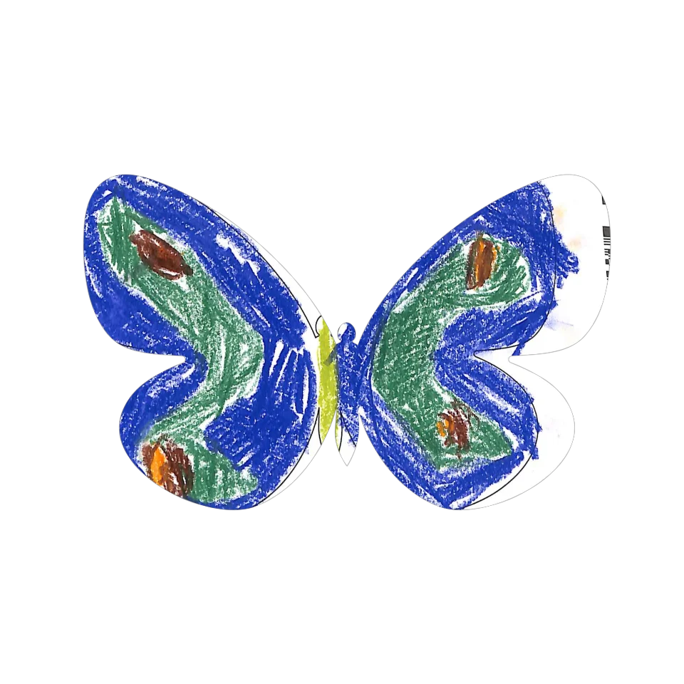 Original Butterfly Image