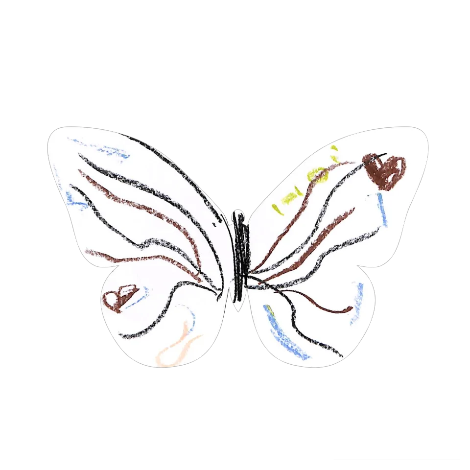 Original Butterfly Image