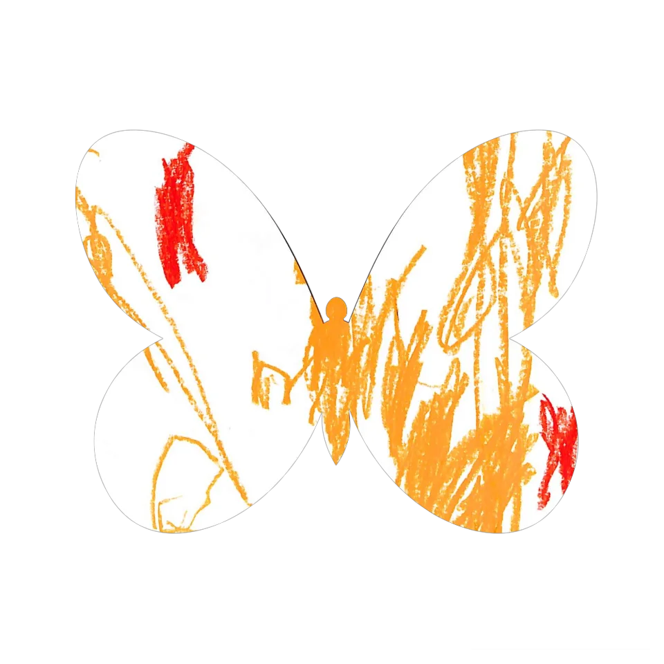 Original Butterfly Image