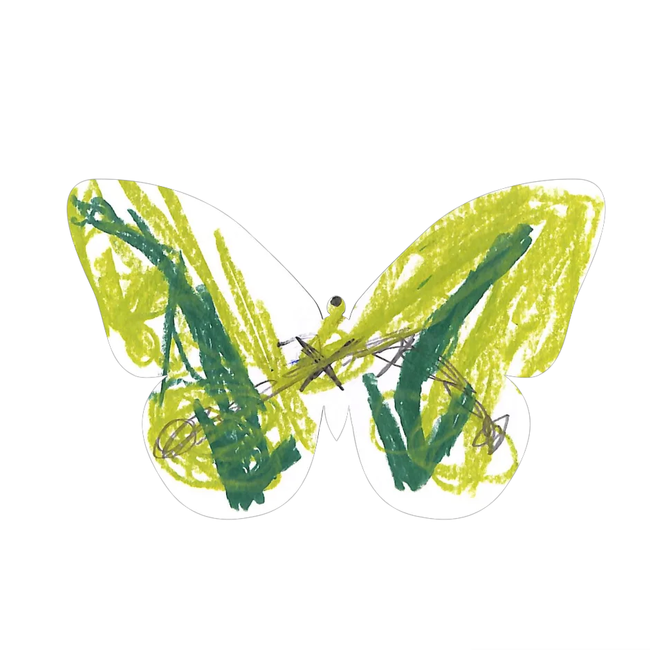 Original Butterfly Image