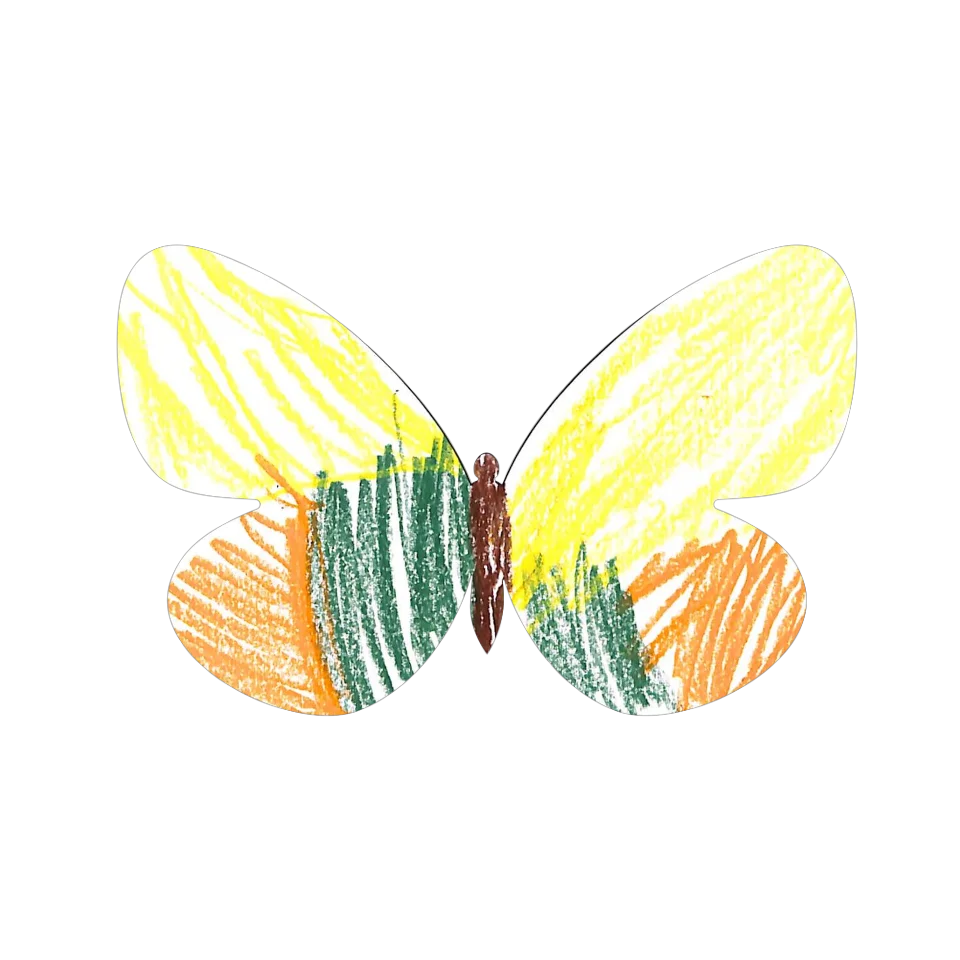 Original Butterfly Image