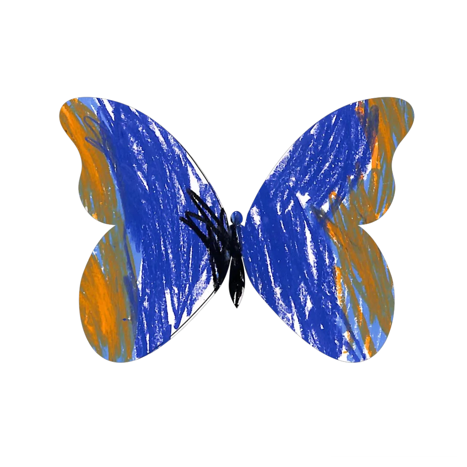 Original Butterfly Image
