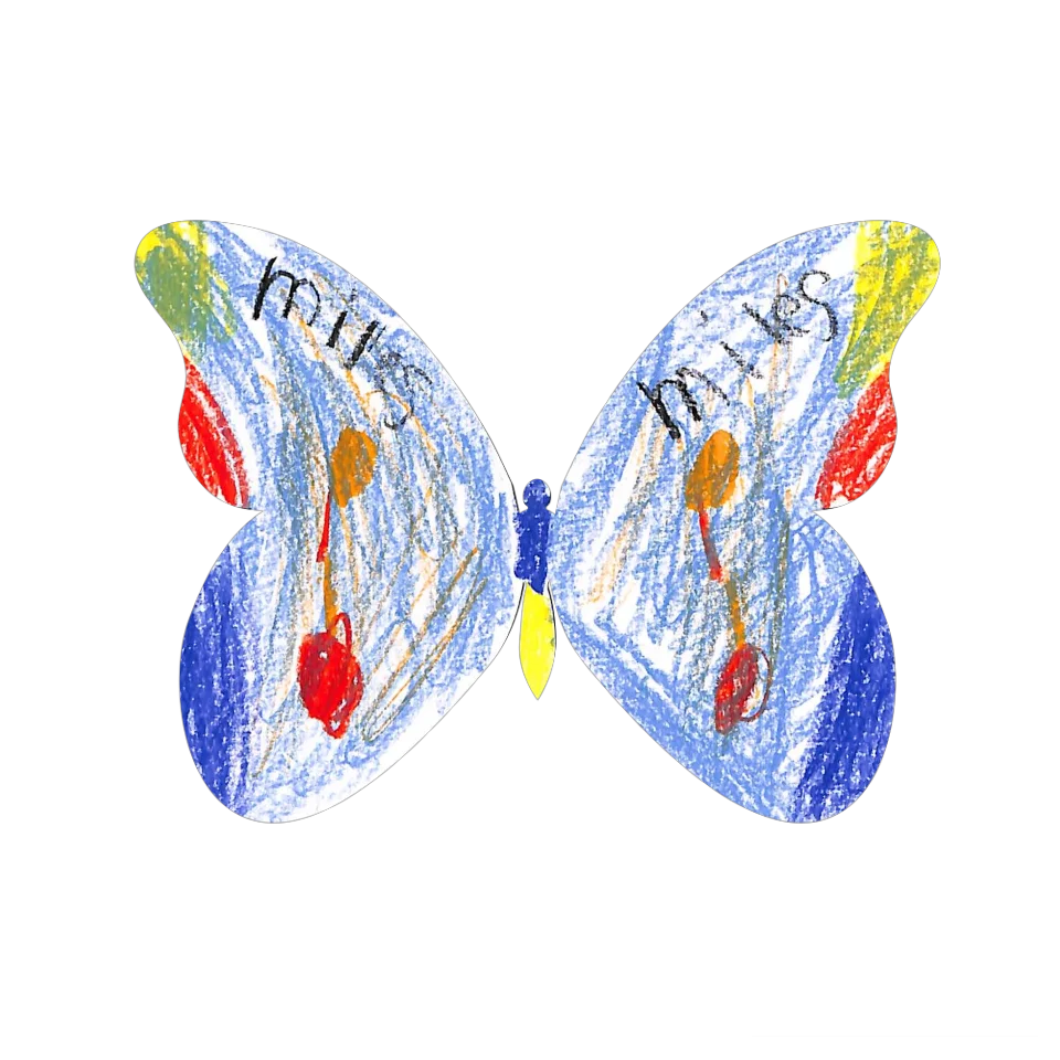 Original Butterfly Image