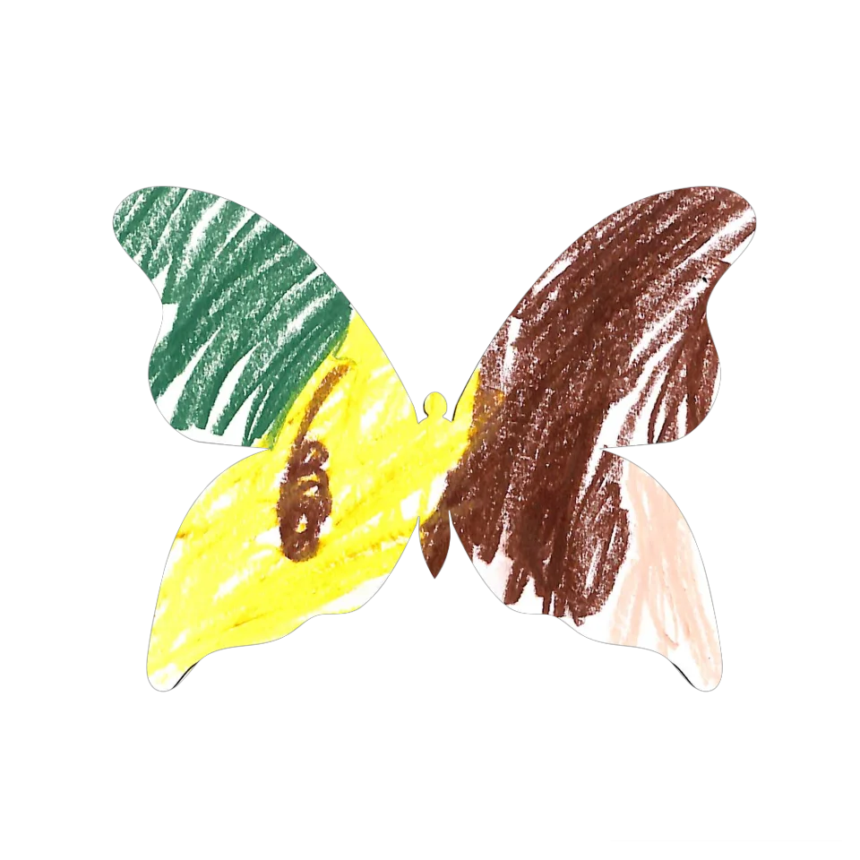 Original Butterfly Image
