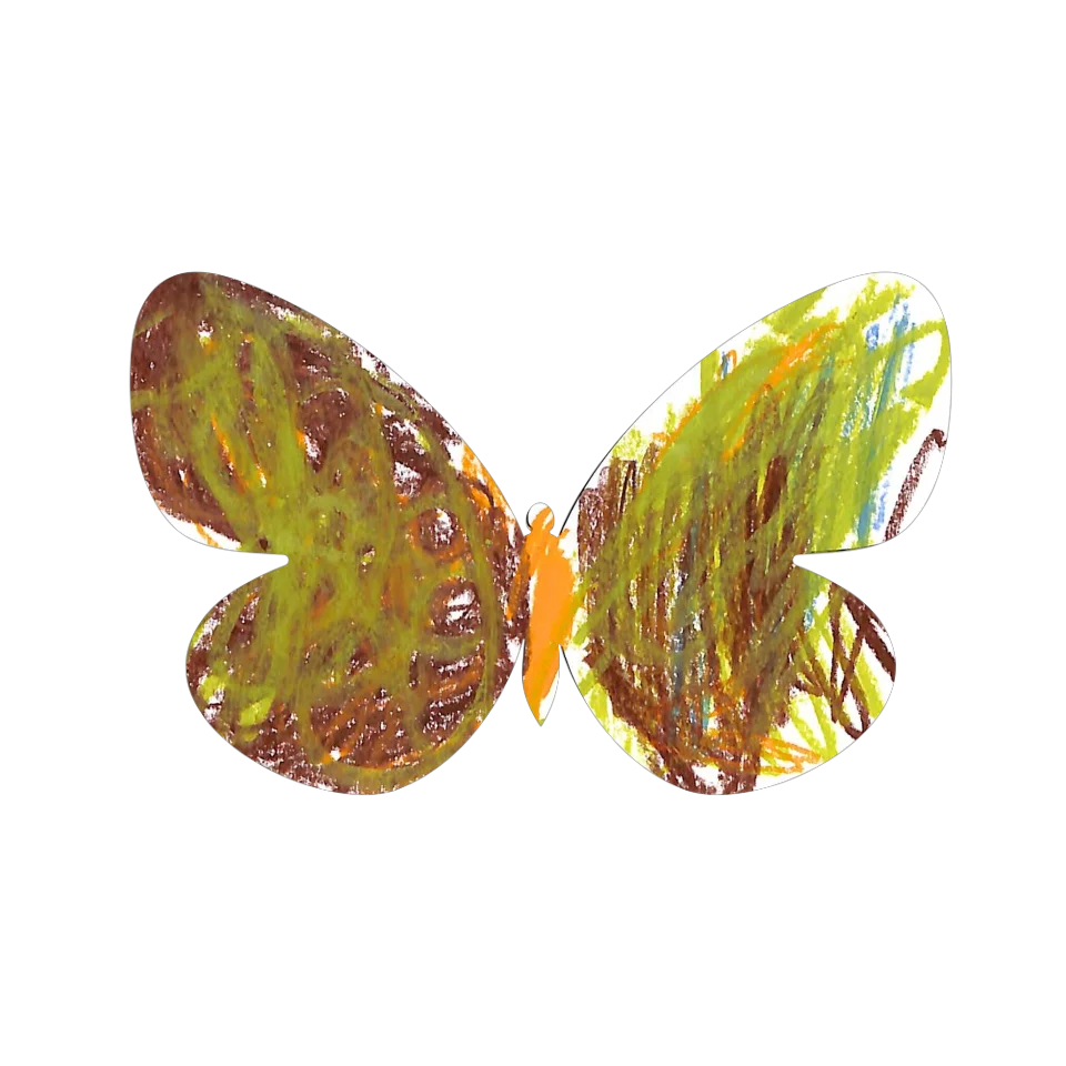 Original Butterfly Image