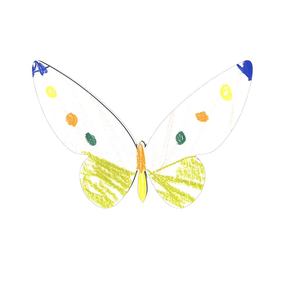 Original Butterfly Image