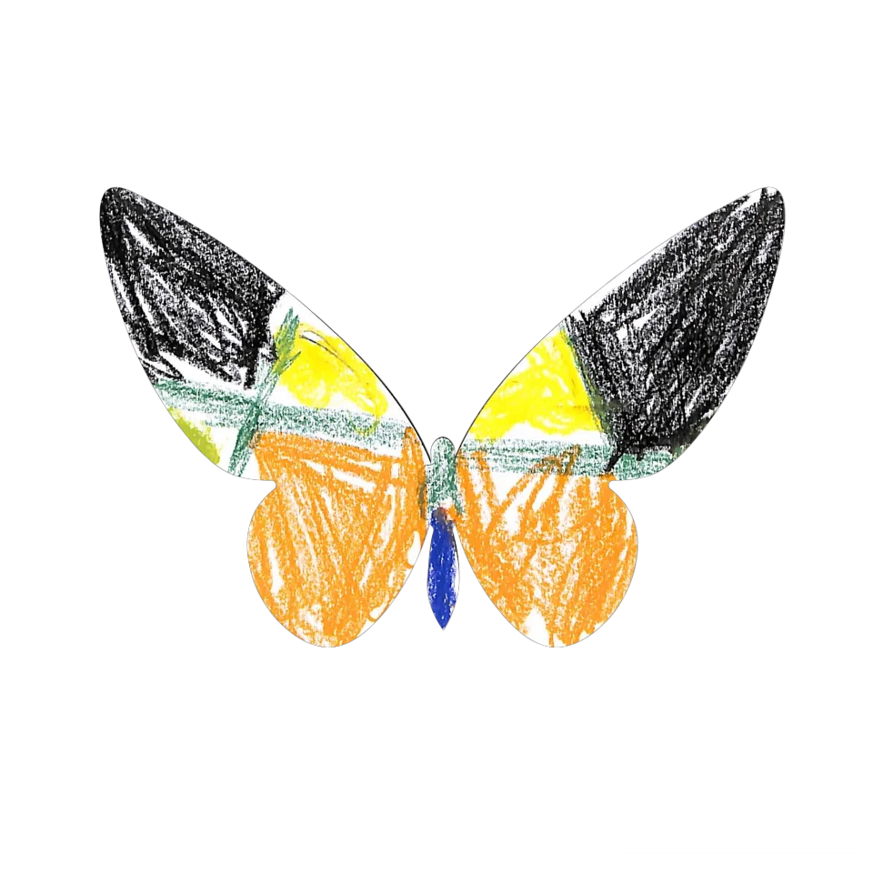 Original Butterfly Image
