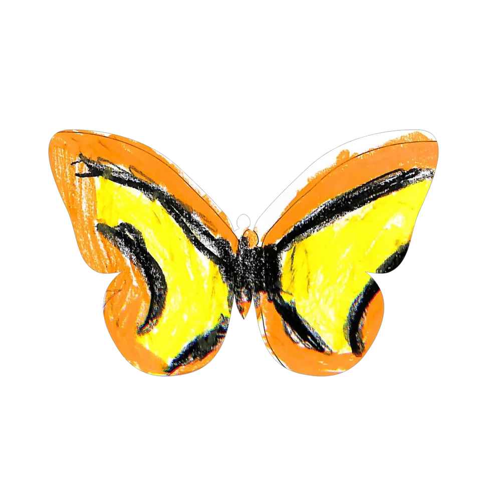 Original Butterfly Image