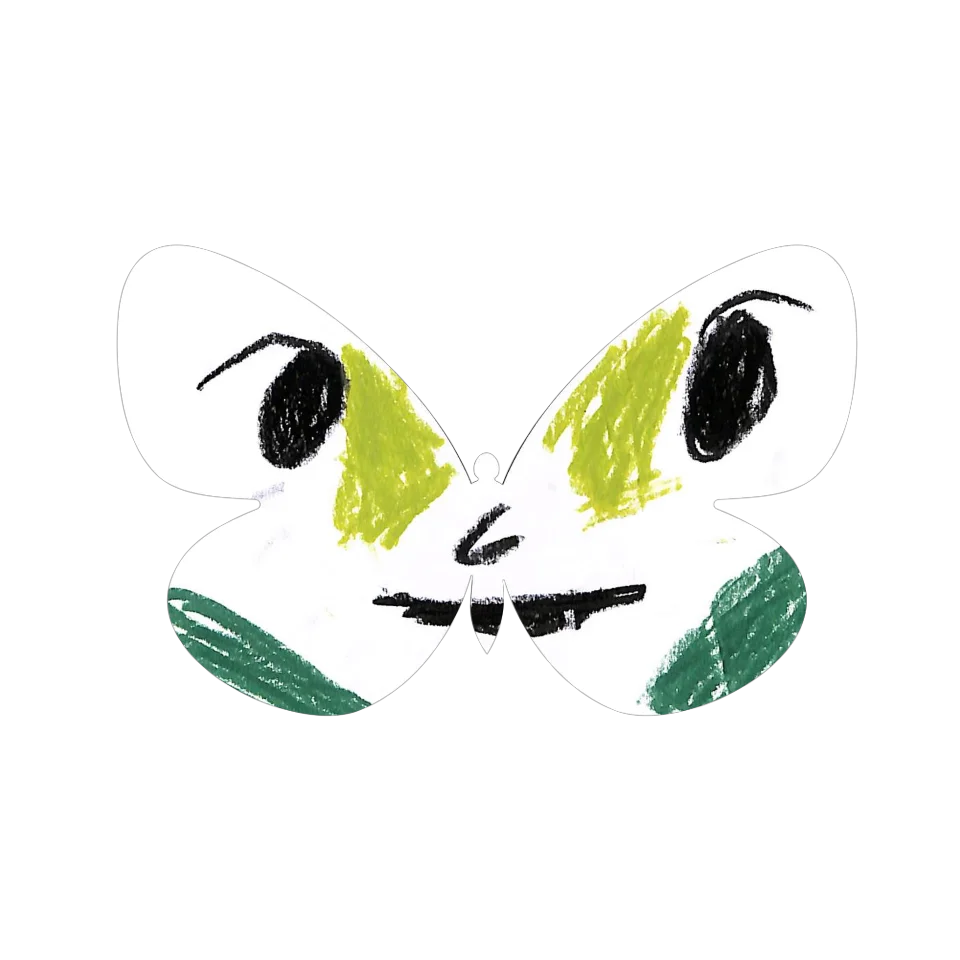 Original Butterfly Image