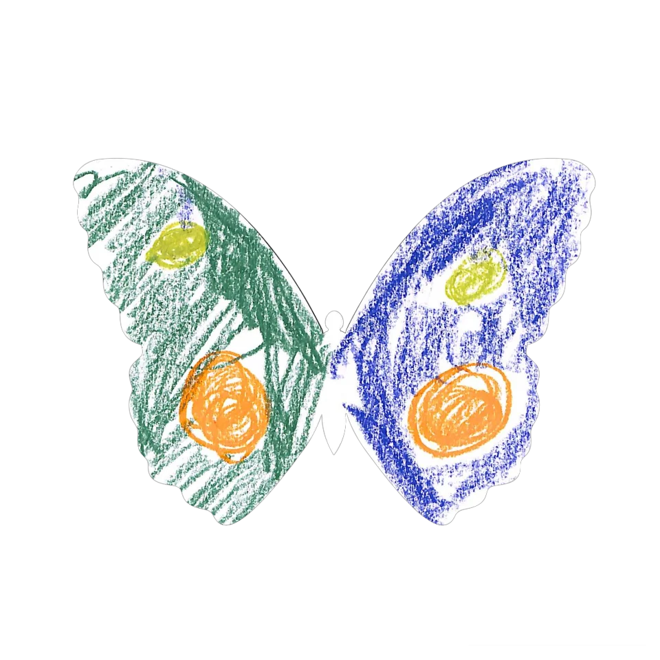 Original Butterfly Image