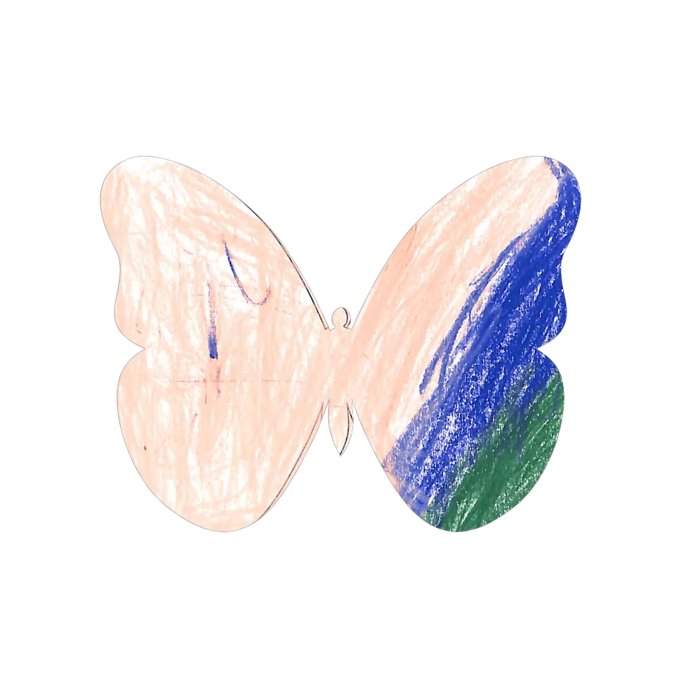 Original Butterfly Image