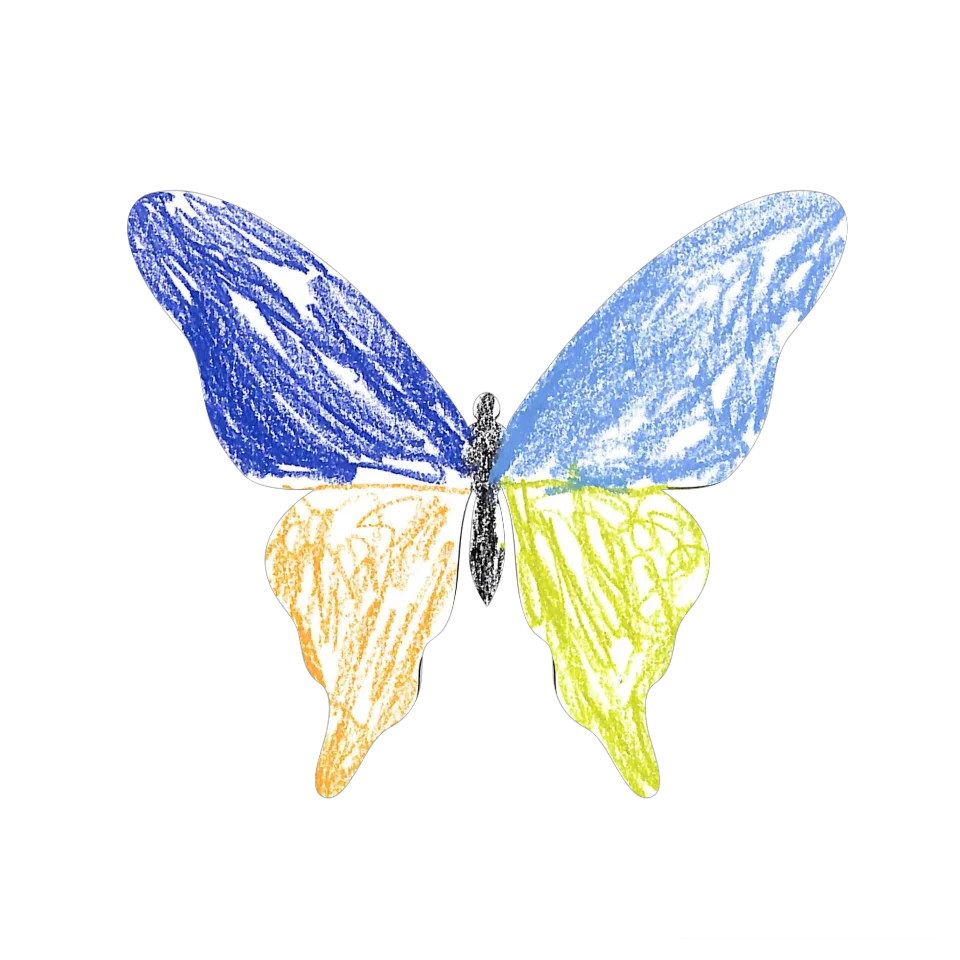 Original Butterfly Image