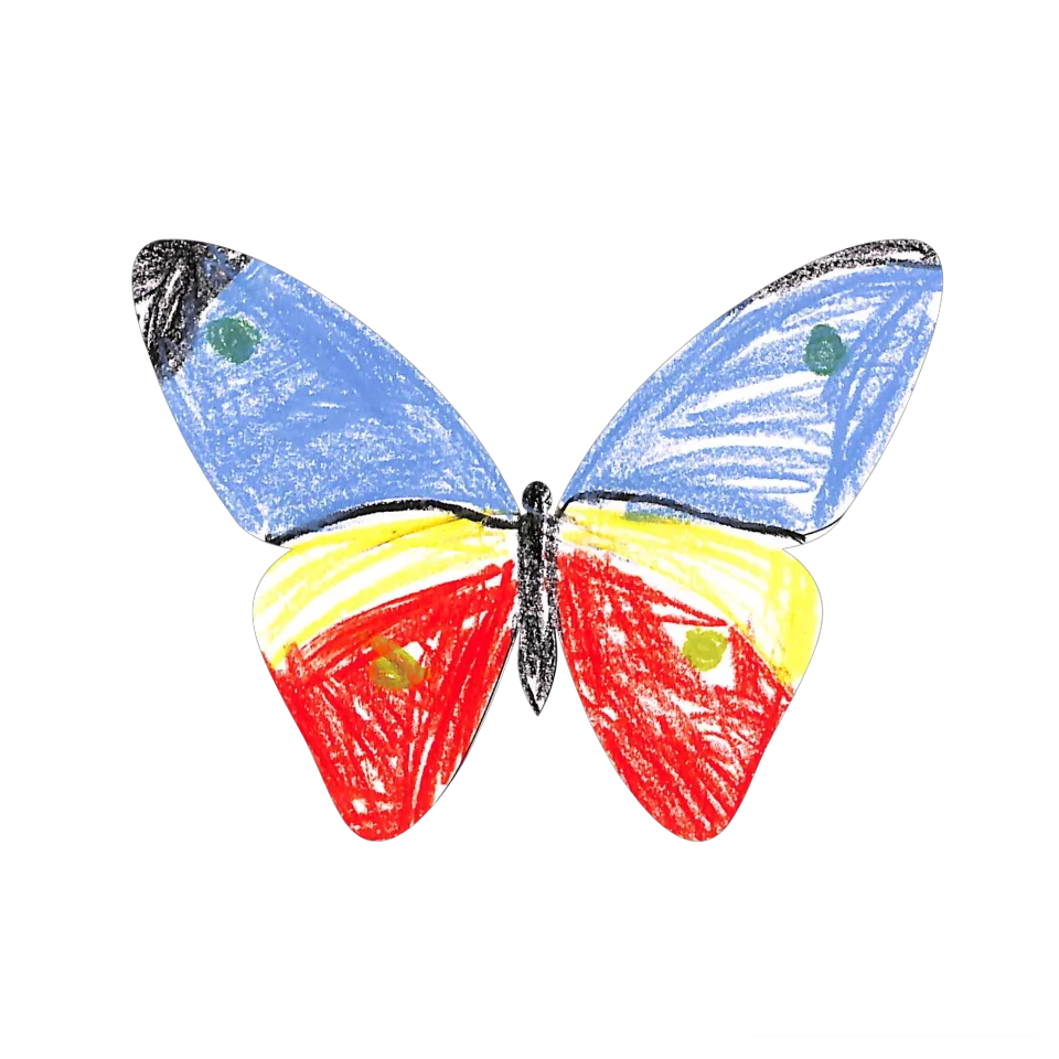 Original Butterfly Image