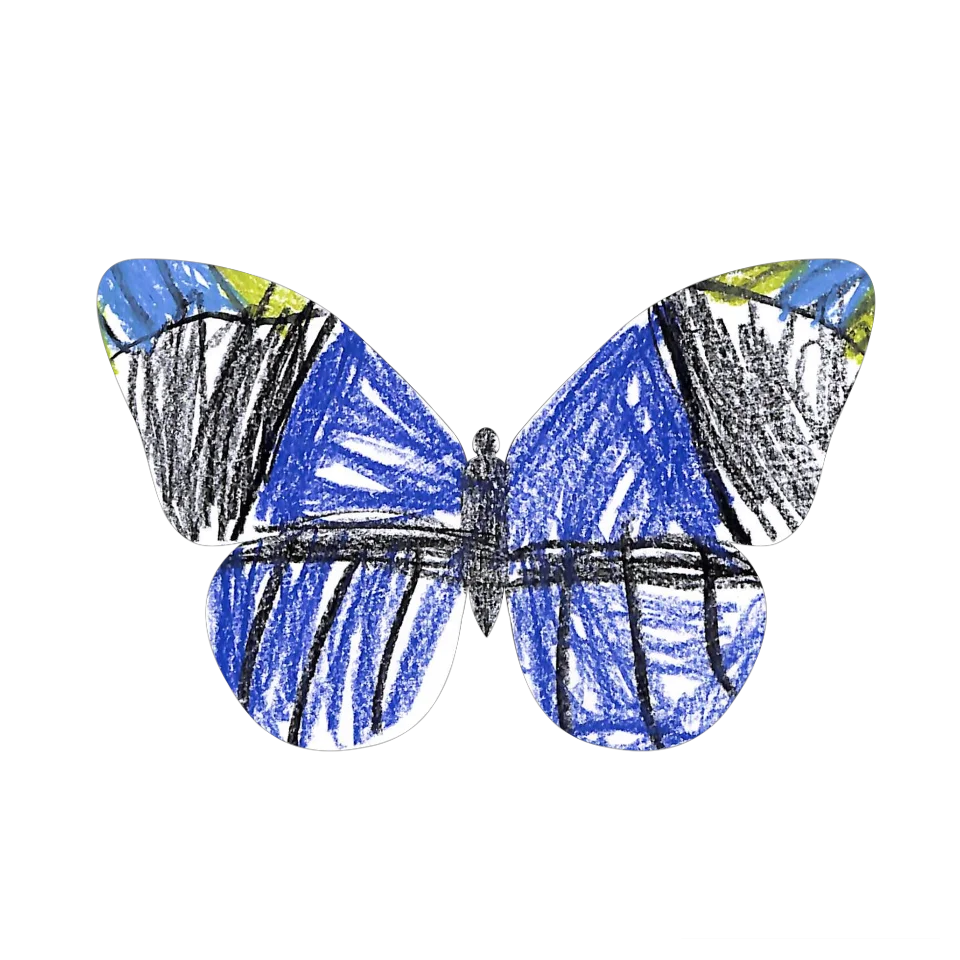 Original Butterfly Image