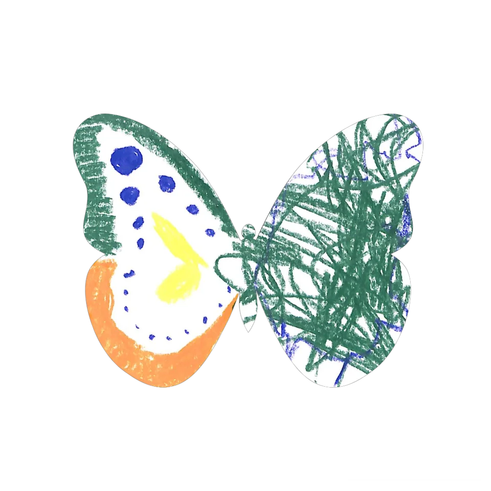 Original Butterfly Image