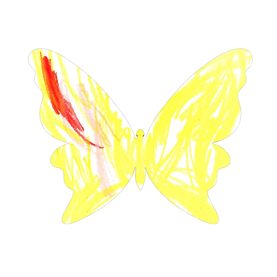 Original Butterfly Image