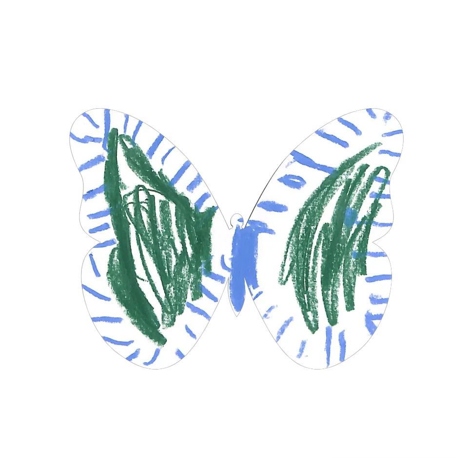 Original Butterfly Image