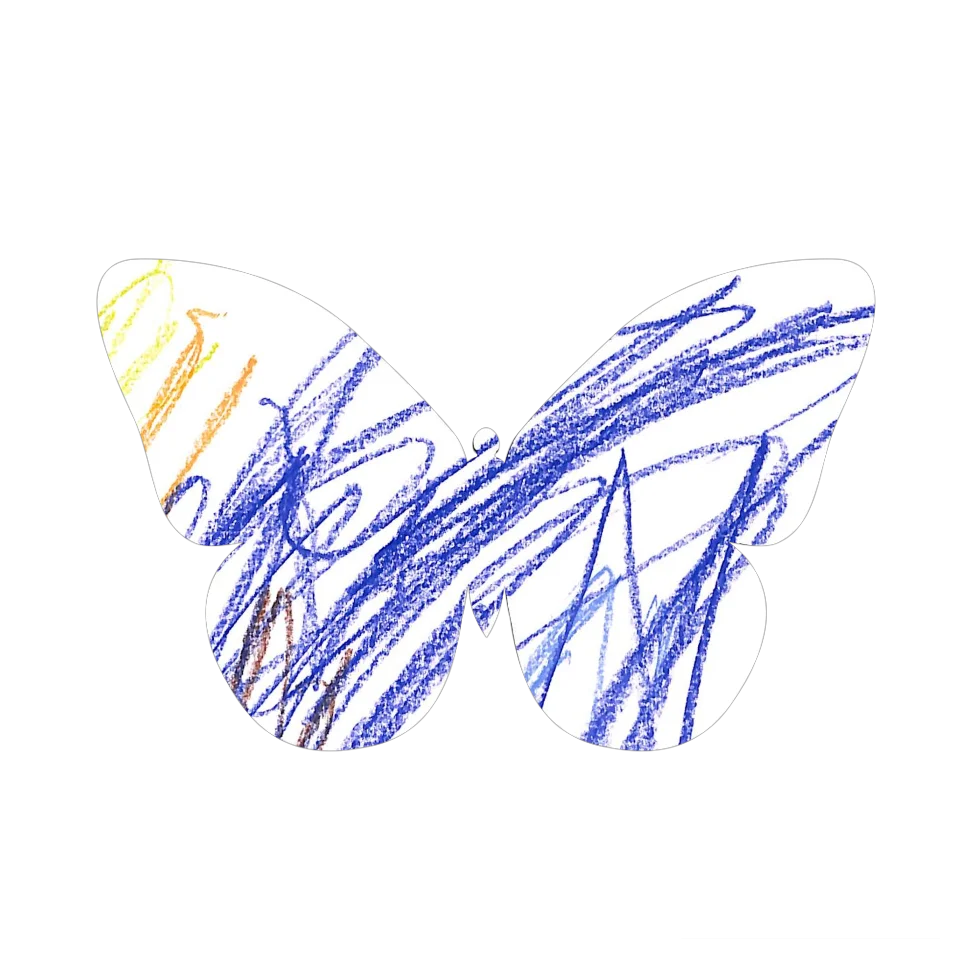 Original Butterfly Image