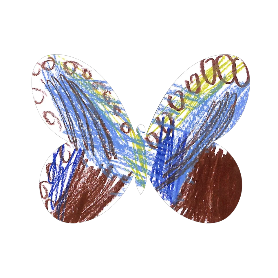 Original Butterfly Image