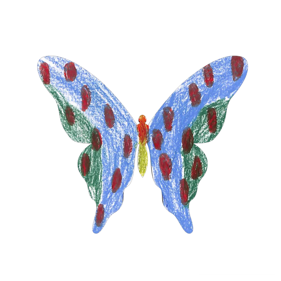 Original Butterfly Image