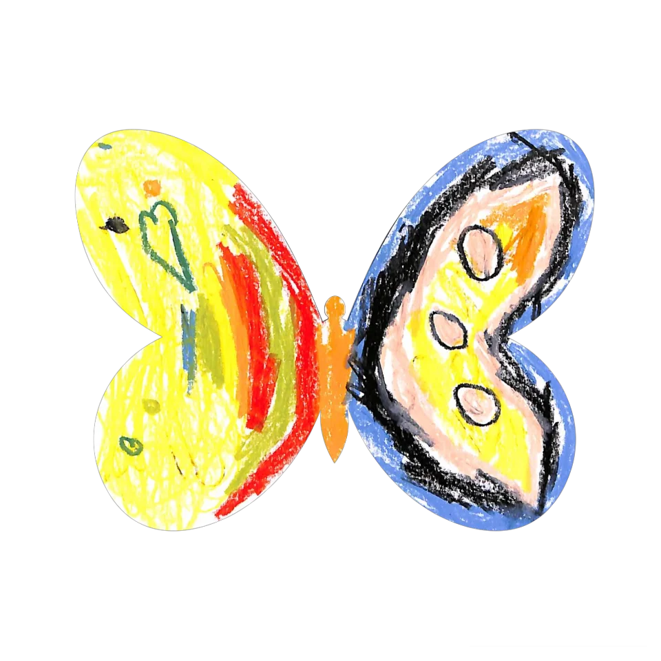 Original Butterfly Image