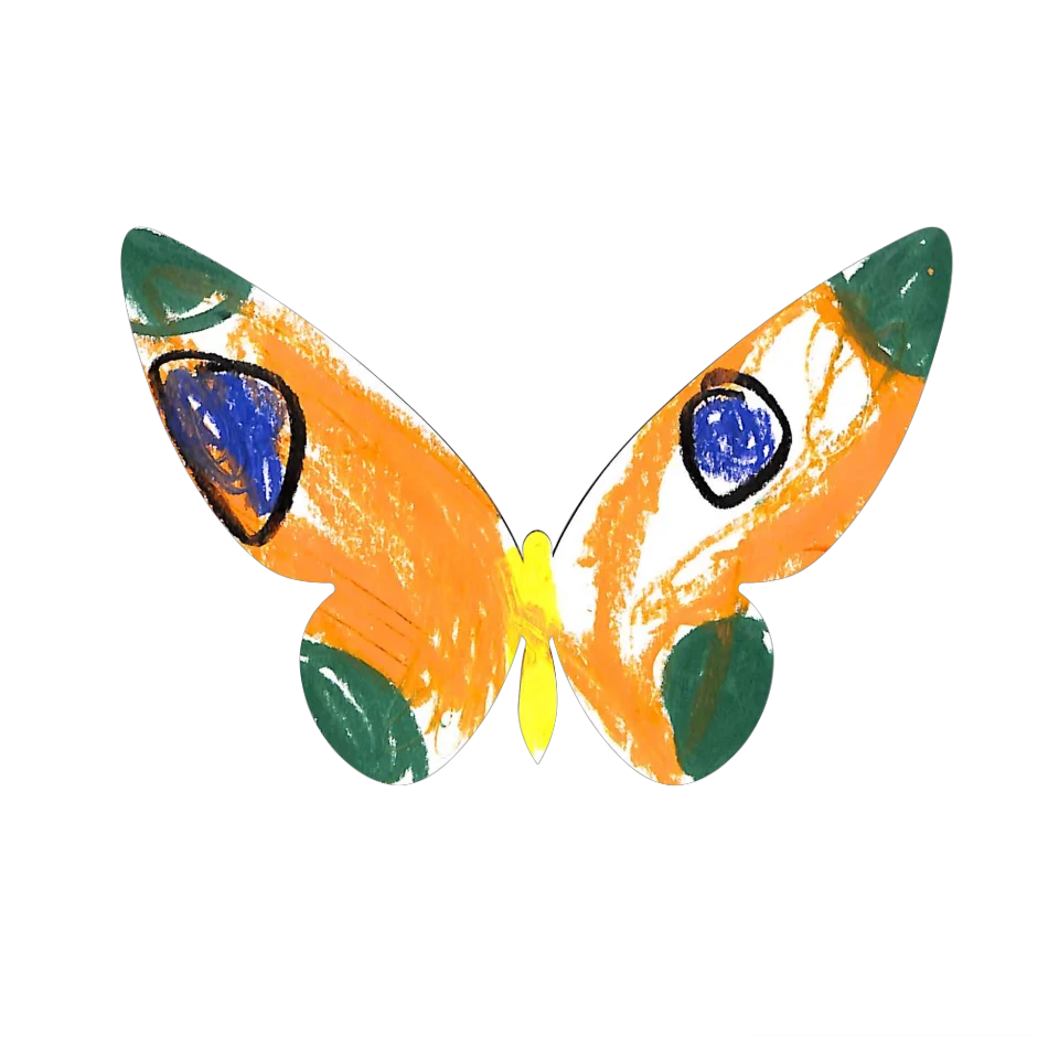 Original Butterfly Image