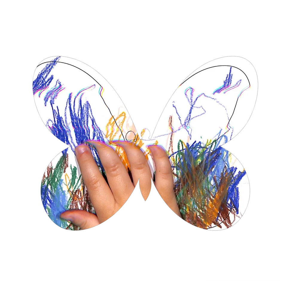 Original Butterfly Image
