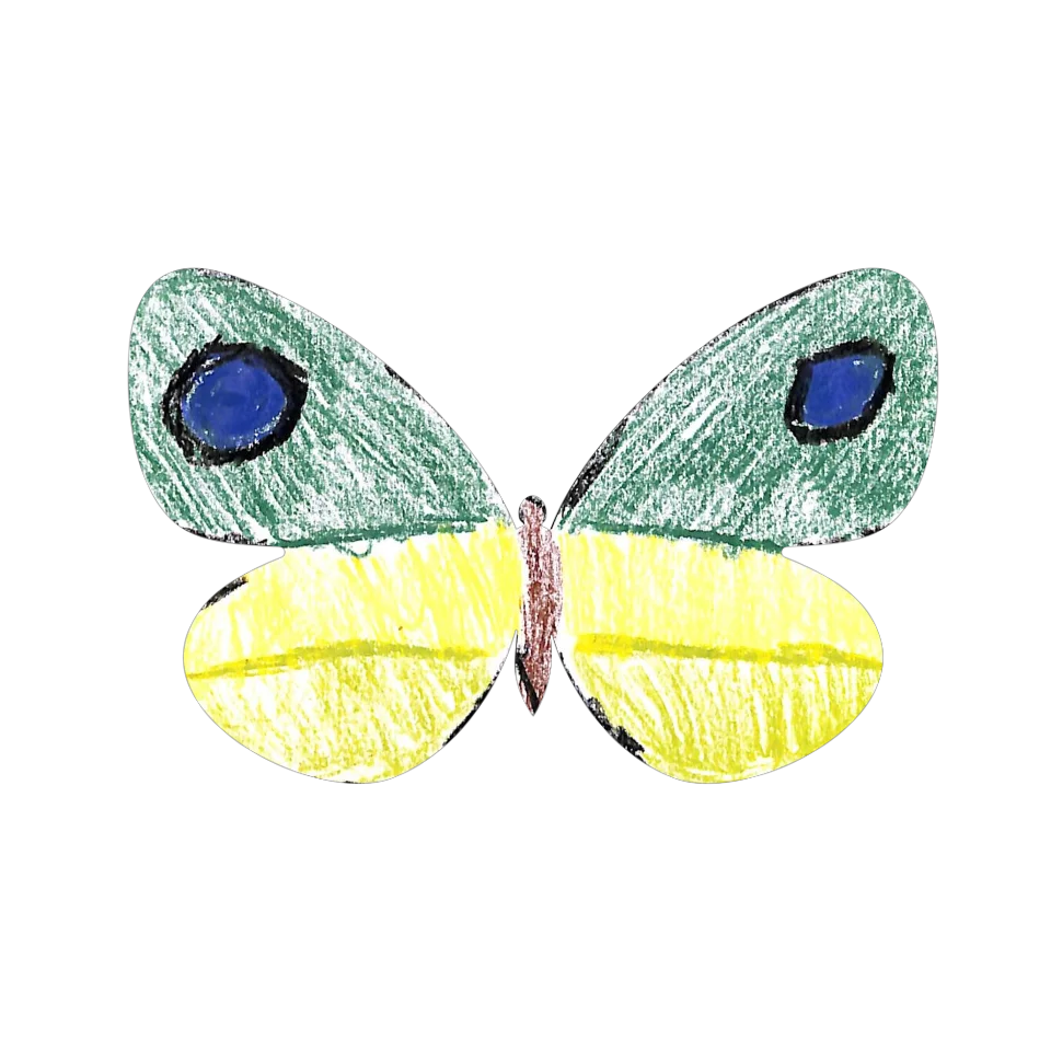 Original Butterfly Image