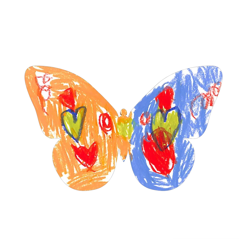 Original Butterfly Image