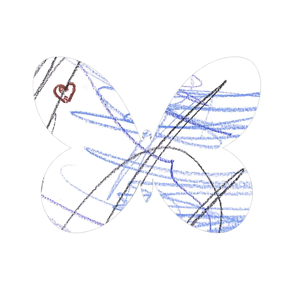 Original Butterfly Image