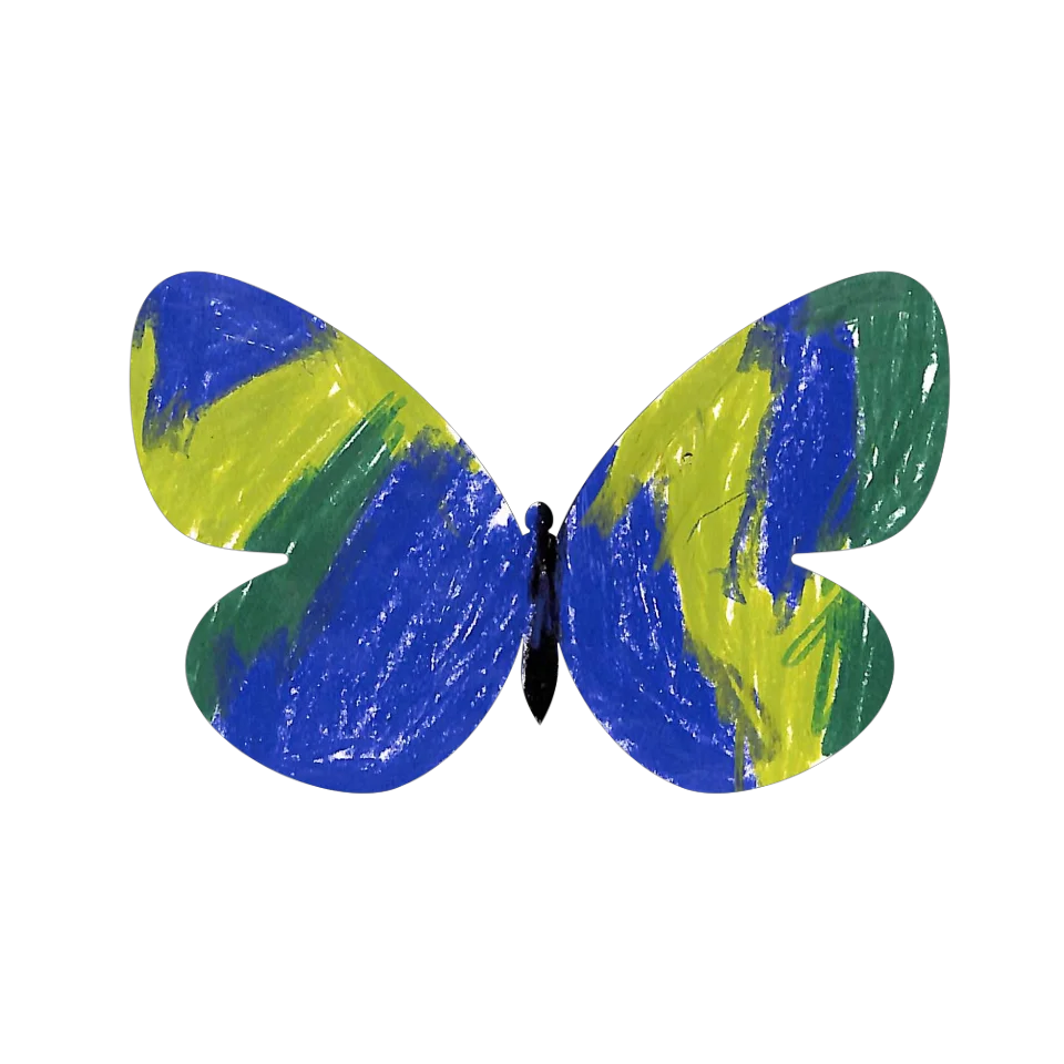 Original Butterfly Image