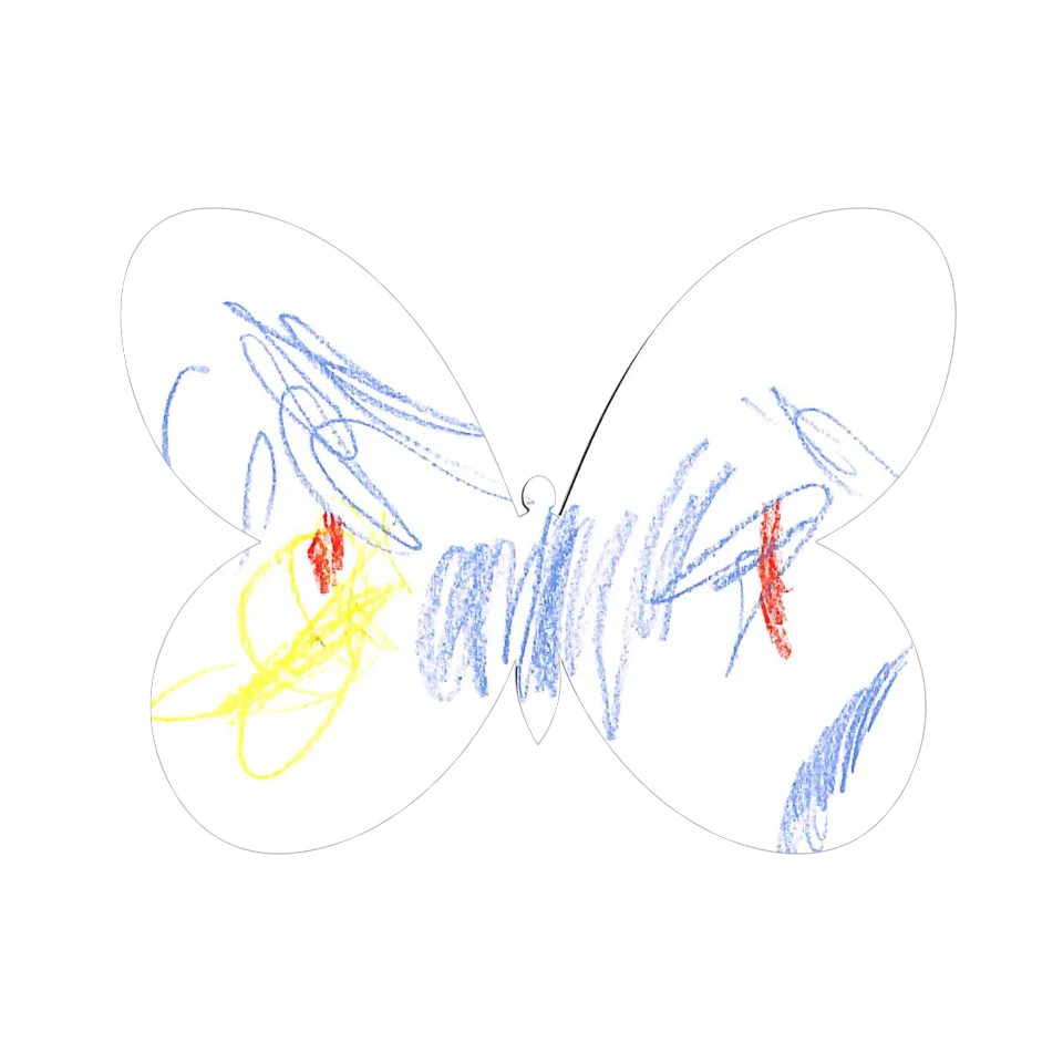 Original Butterfly Image