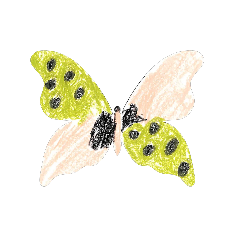 Original Butterfly Image
