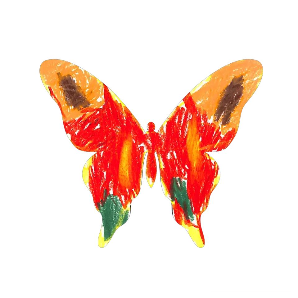 Original Butterfly Image
