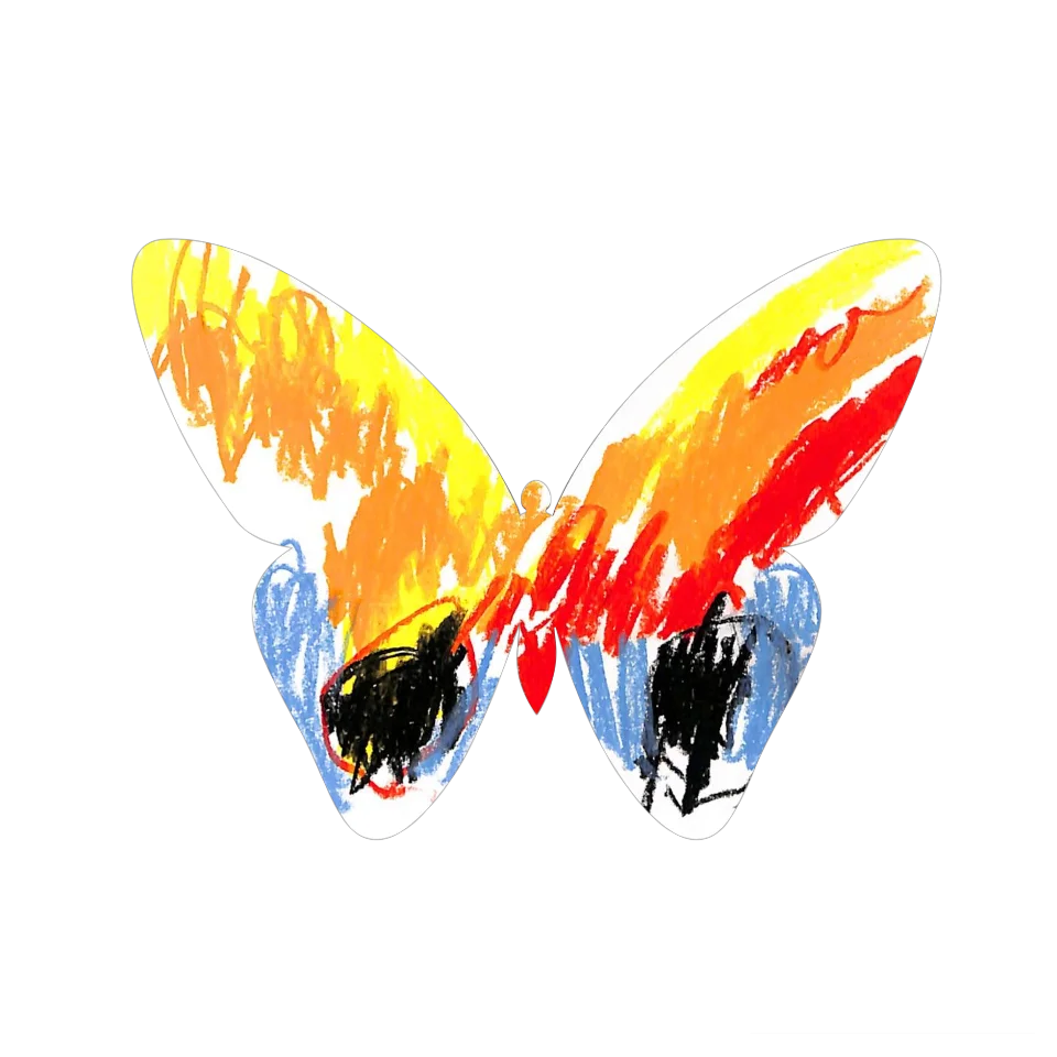 Original Butterfly Image