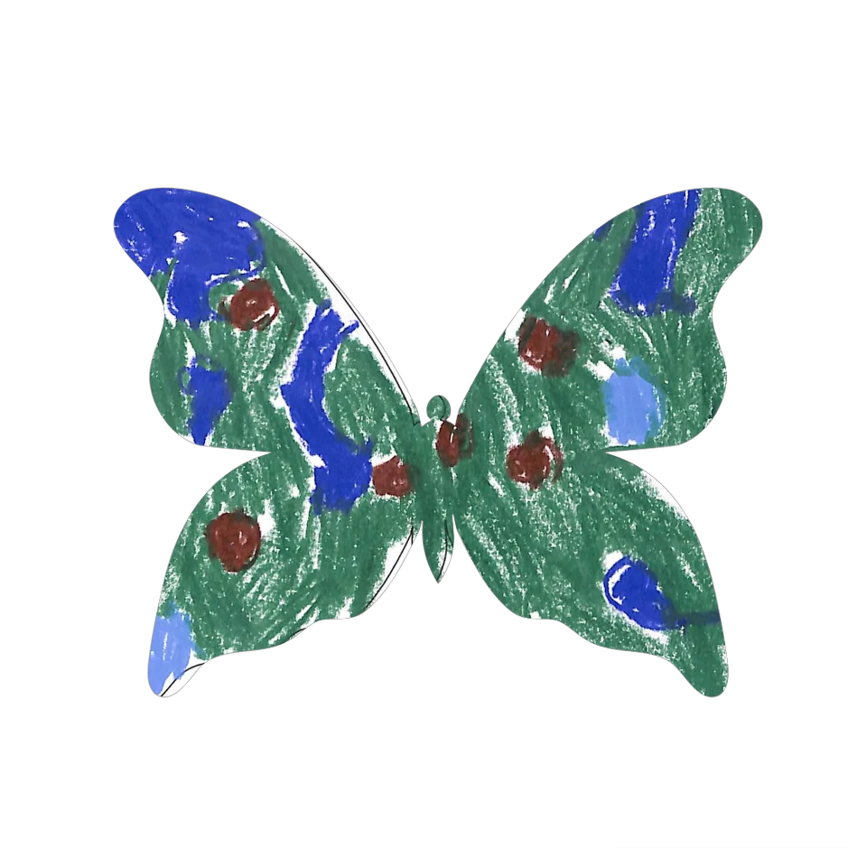 Original Butterfly Image
