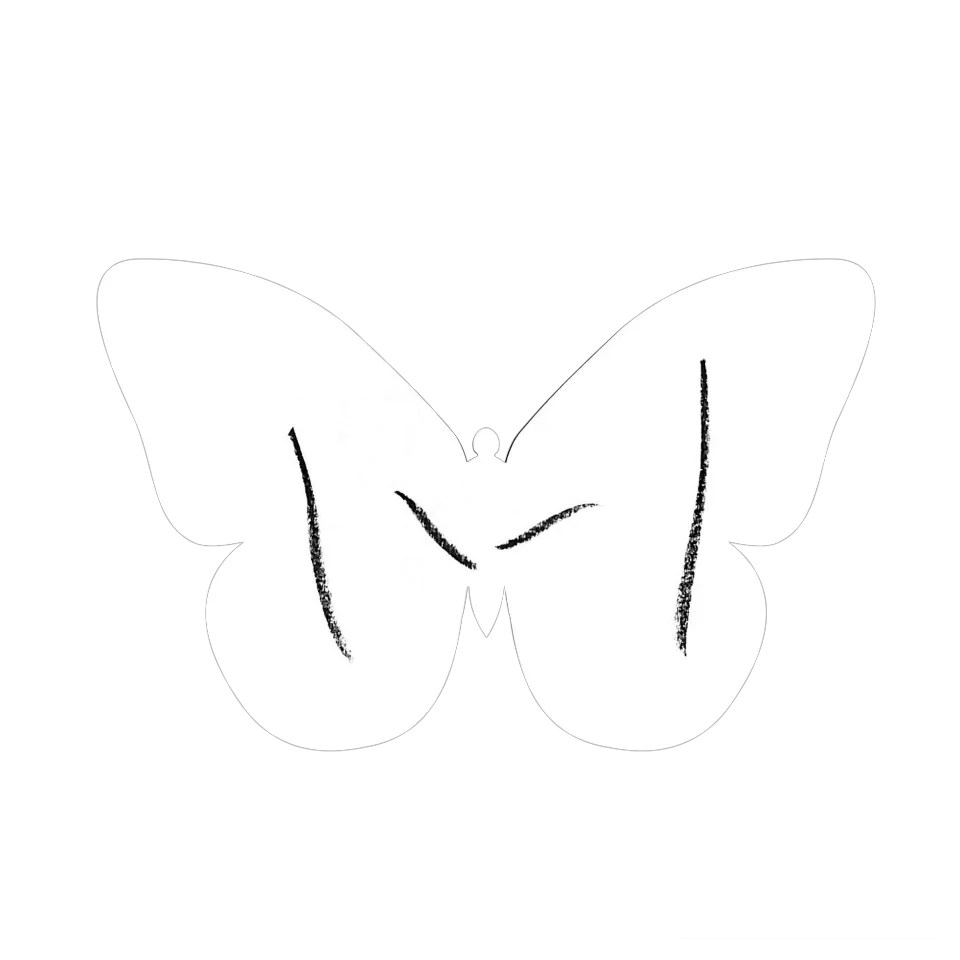 Original Butterfly Image