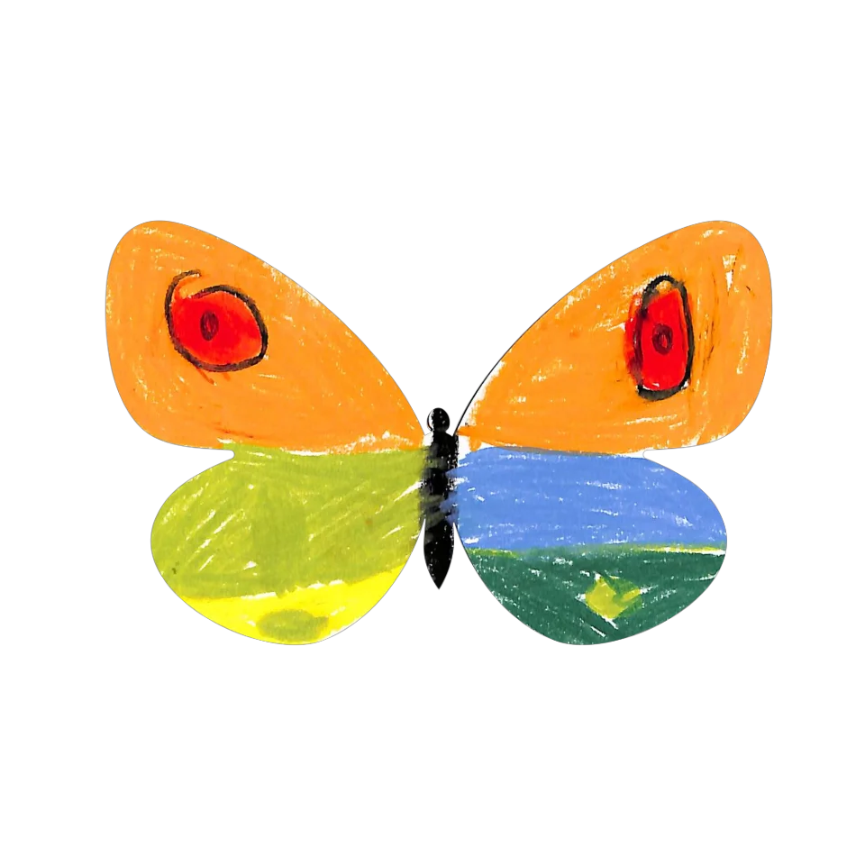 Original Butterfly Image