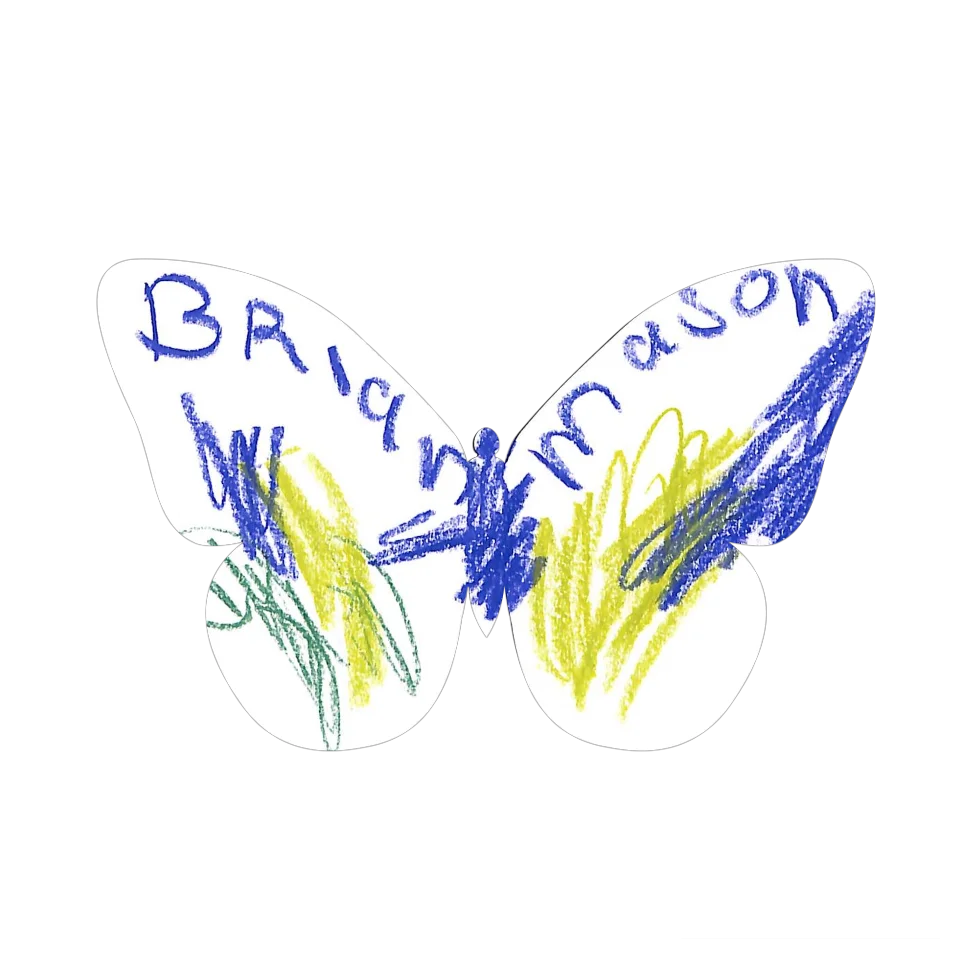 Original Butterfly Image