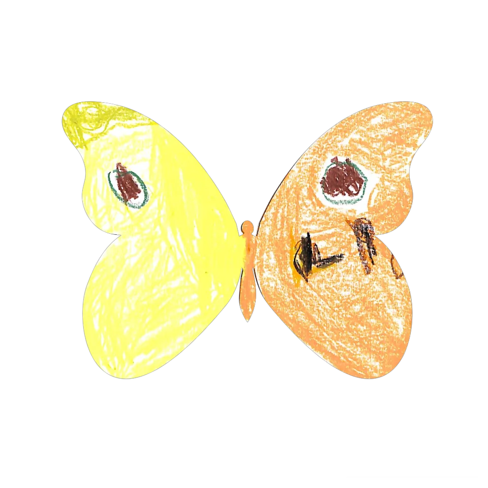 Original Butterfly Image