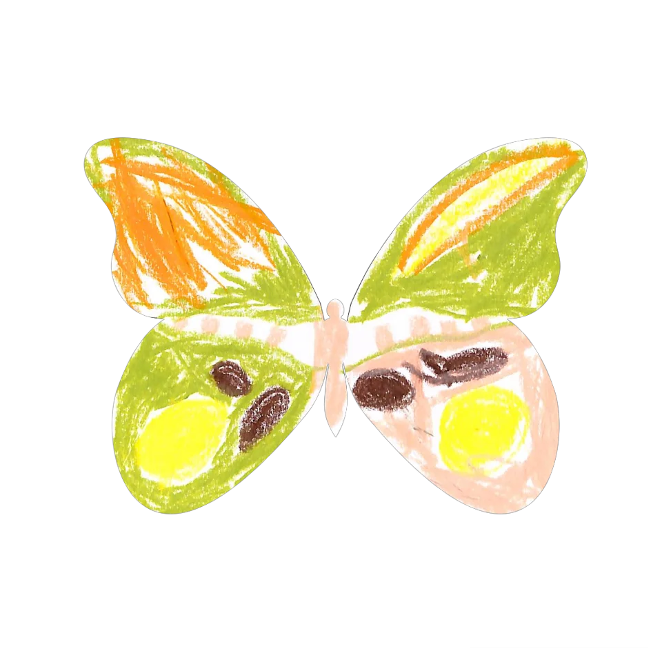 Original Butterfly Image