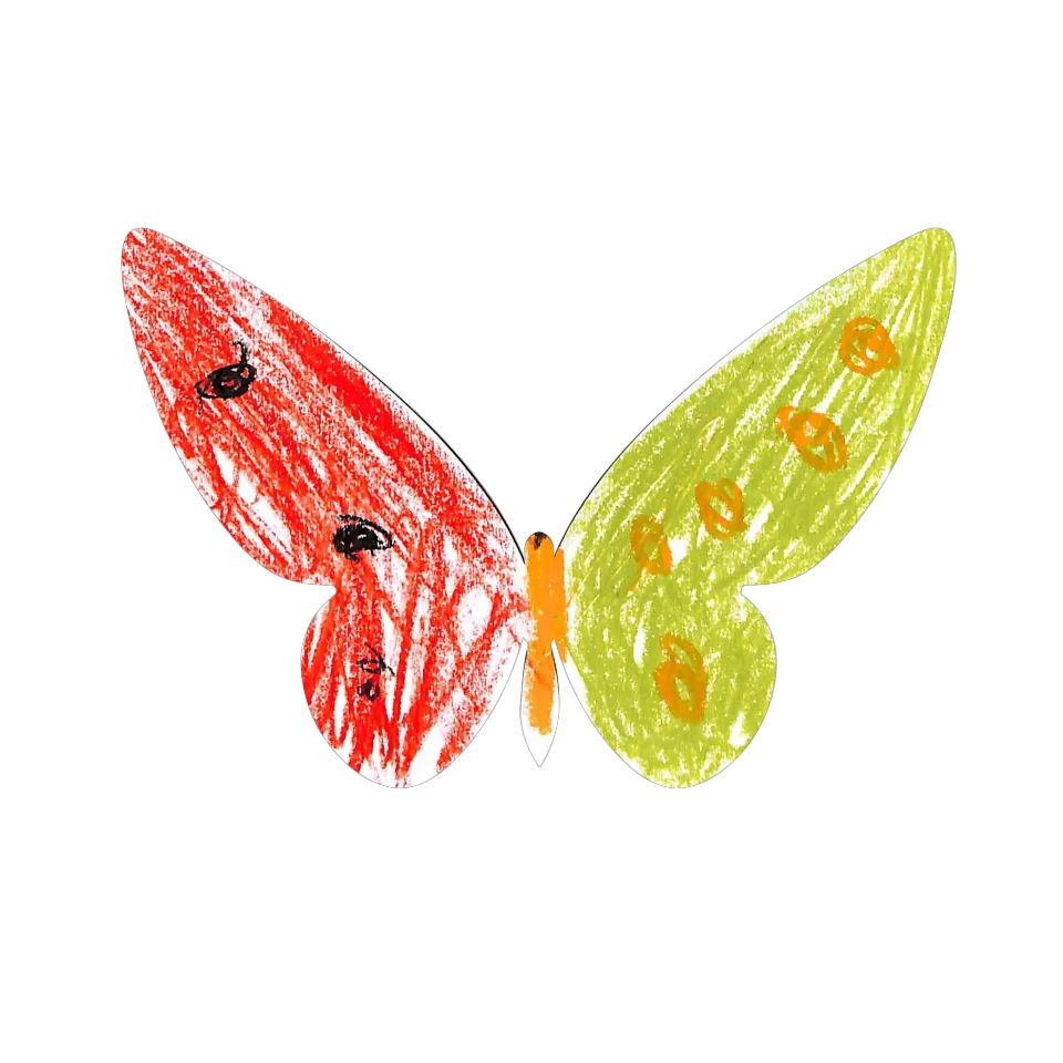 Original Butterfly Image