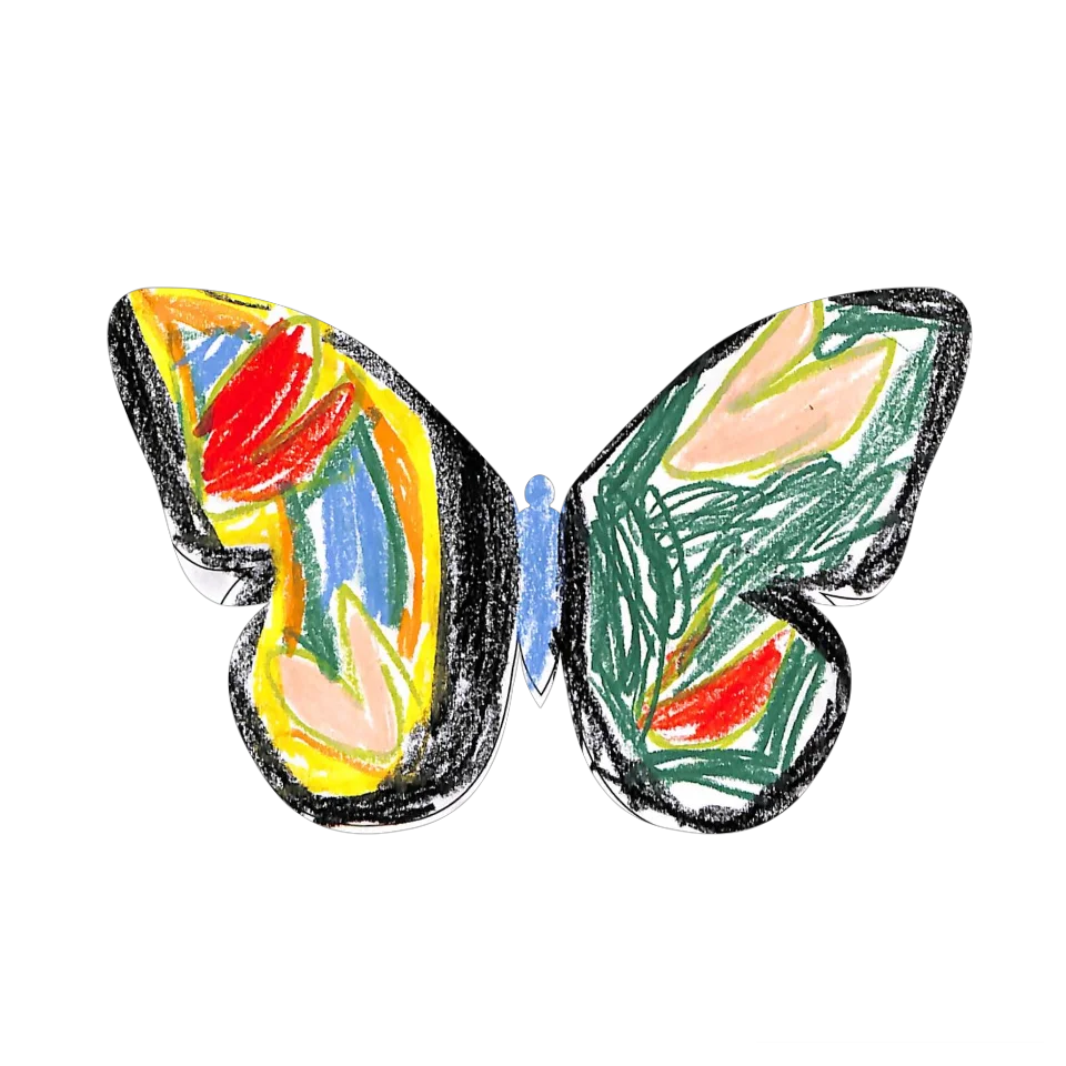 Original Butterfly Image