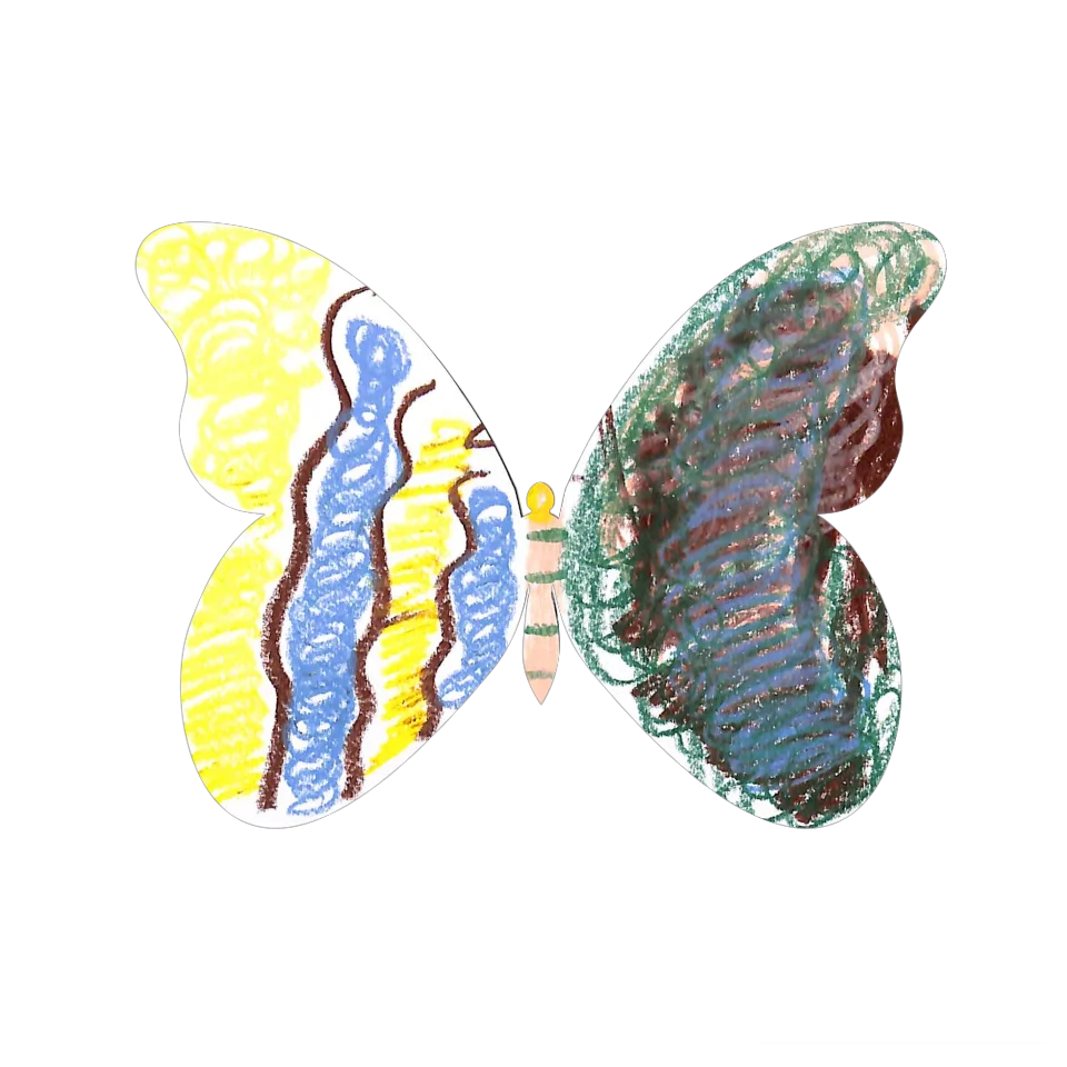 Original Butterfly Image