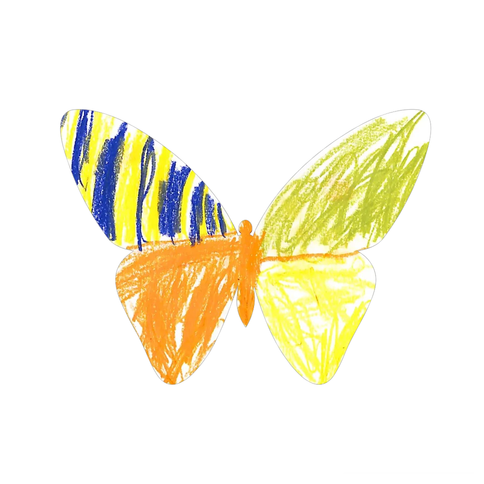 Original Butterfly Image