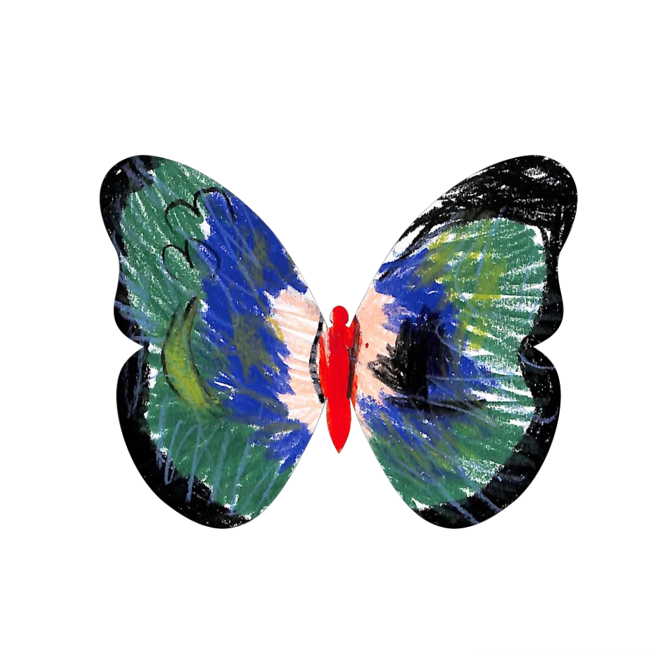 Original Butterfly Image